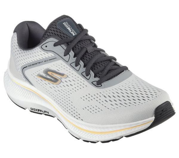 Кроссовки мужские Skechers Go Run Consistent 2 серый 220865-GRY